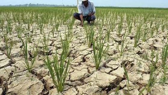 Ecofashionpreneur Menciptakan Lapangan Kerja yang Lebih Hijau di Tengah Perubahan Iklim